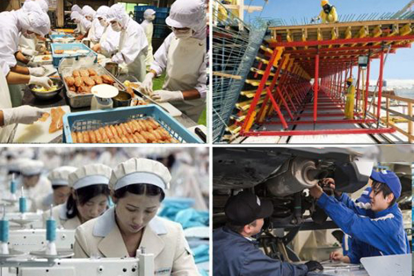Top 5 ngành nghề xuất khẩu lao động Nhật Bản lương cao?