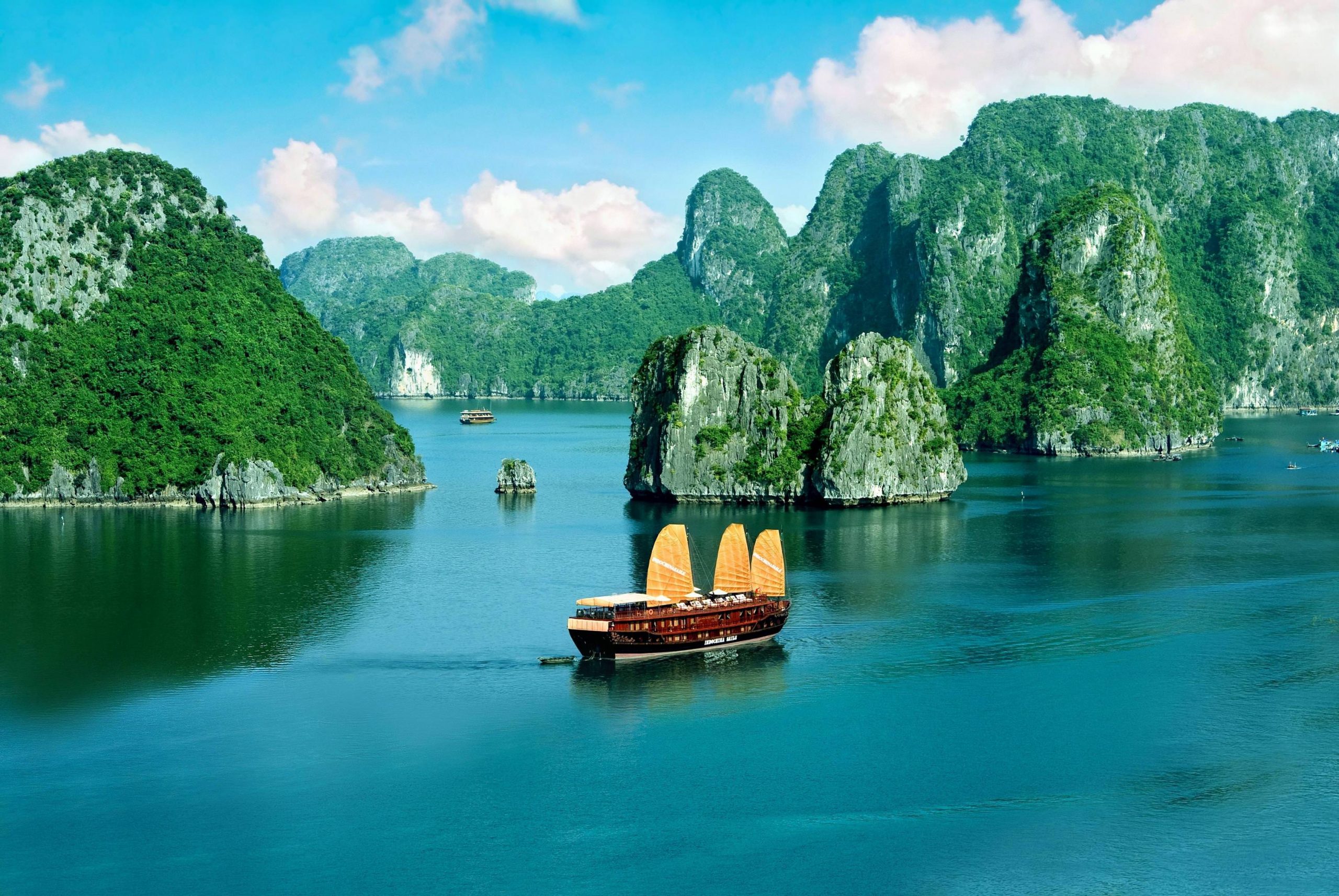 Newsletter 6: ベトナム観光、２年ぶり本格再開